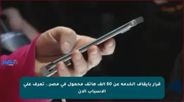 قرار بإيقاف الخدمة عن 60 ألف هاتف محمول في مصر.. تعرف على الأسباب الآن
